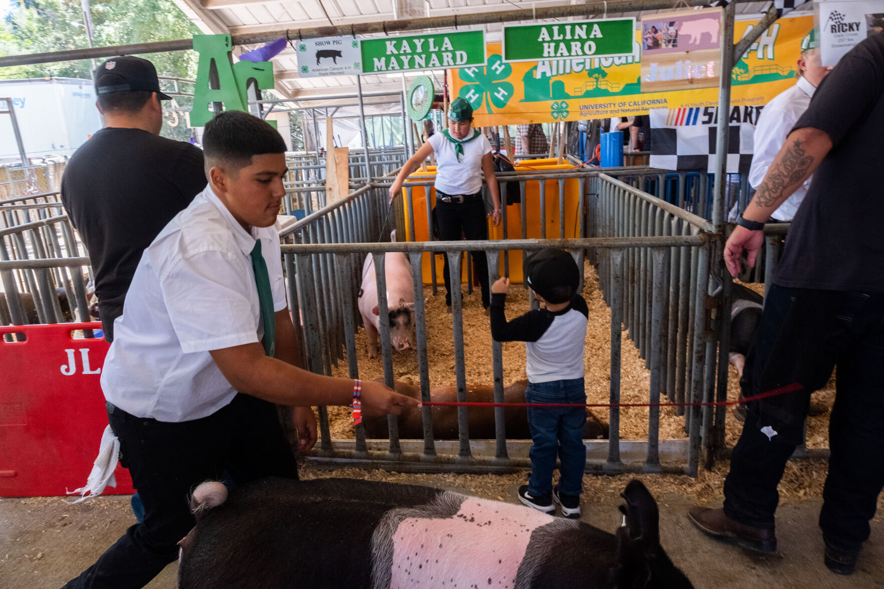 4-H at the Fair